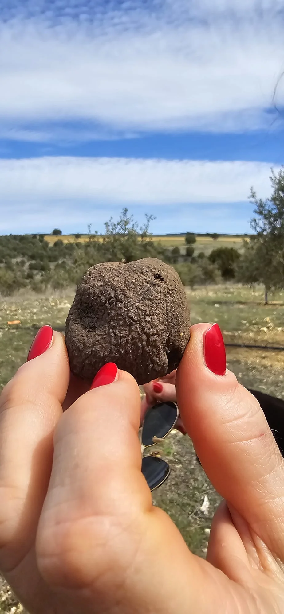 Todo empieza<br>en la tierra.