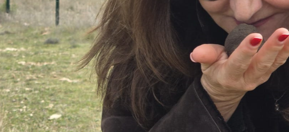 Paisaje de trufiturismo en Segovia