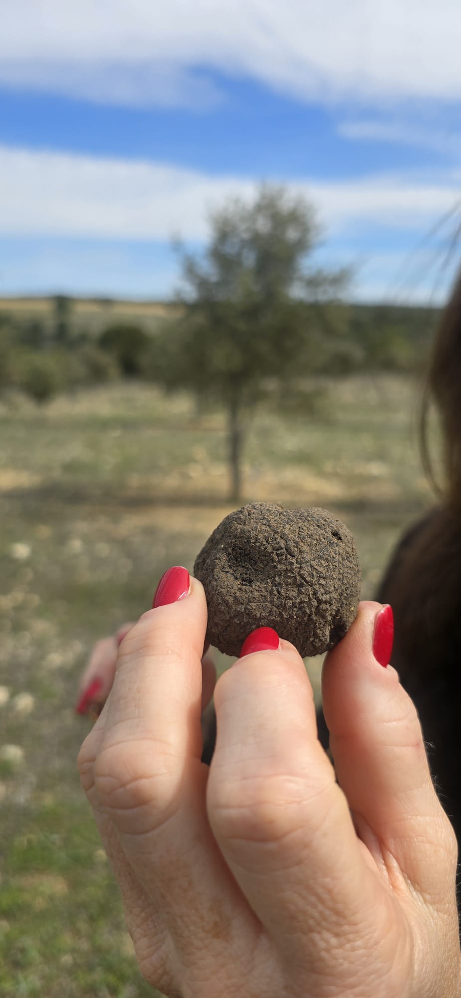 Mantequilla con trufa negra